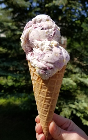 NEW Blueberry Cheesecake Swirl Intro Photo